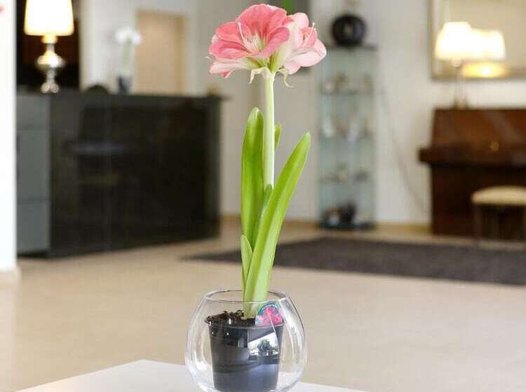 Отель Cova Da Iria