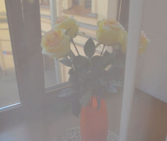 בית מלון כפרי Deluxe