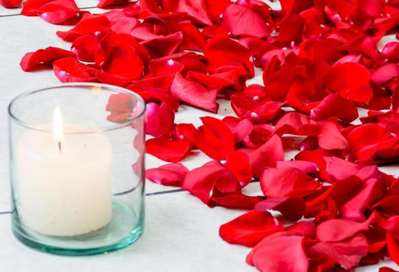 فندق Florida Inn