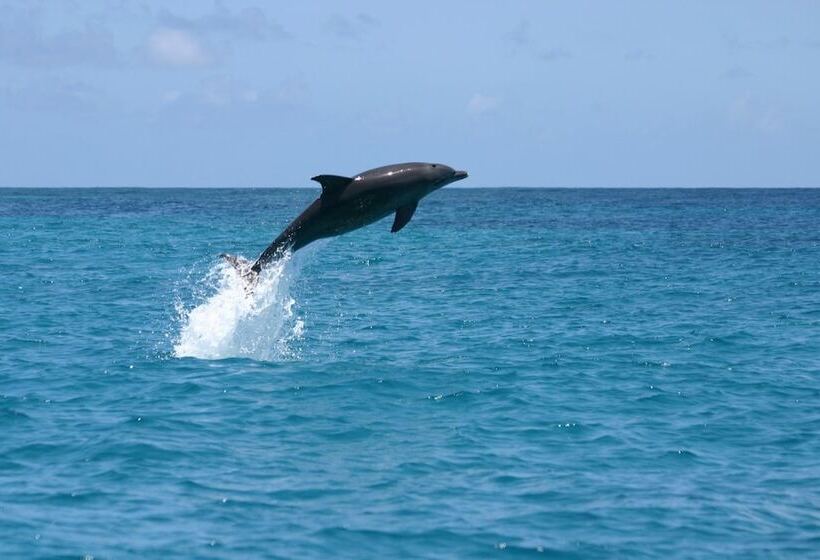 Отель Karamba Eco Boutique