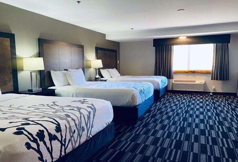 ホテル La Quinta Inn By Wyndham Steamboat Springs