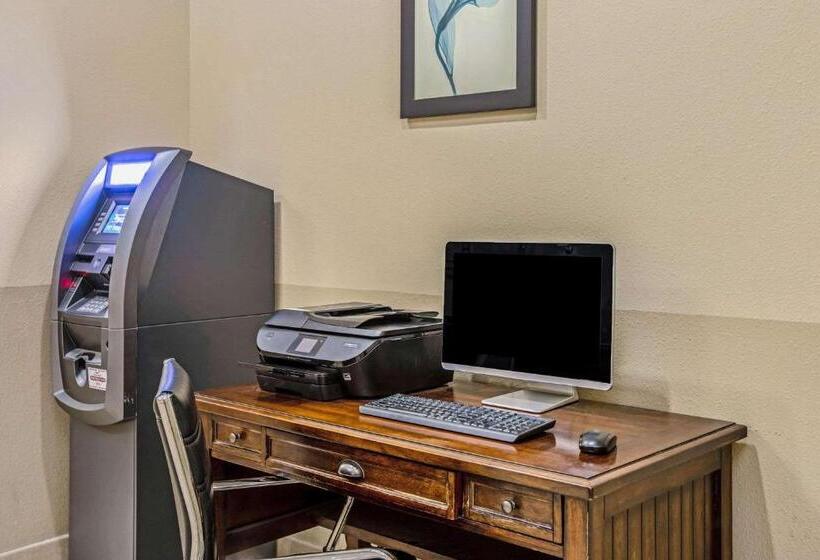 בית מלון כפרי La Quinta Inn & Suites By Wyndham Corpus Christi Northwest