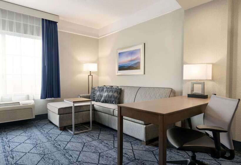 Отель La Quinta Inn And Suites By Wyndham At Watiki Waterpark