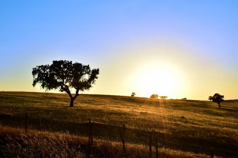 호텔 Pousada Castelo De Estremoz