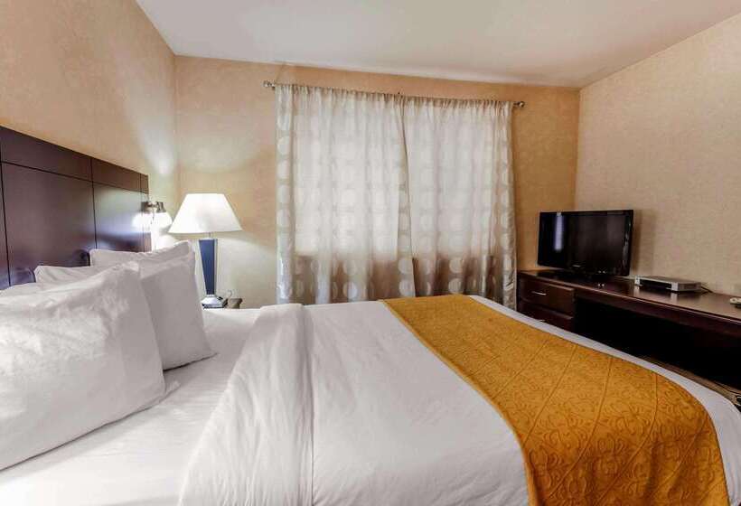 هتل Quality Inn Near Seattle Premium Outlets