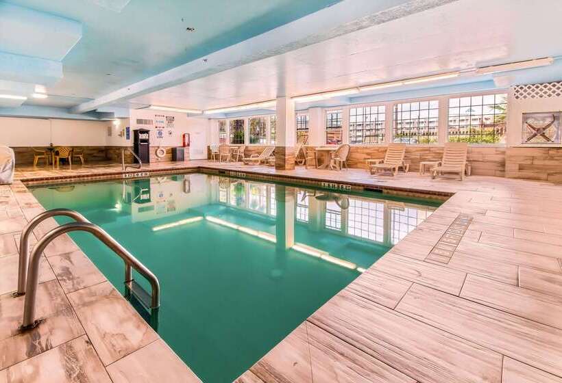 호텔 Quality Inn & Suites Galveston   Beachfront