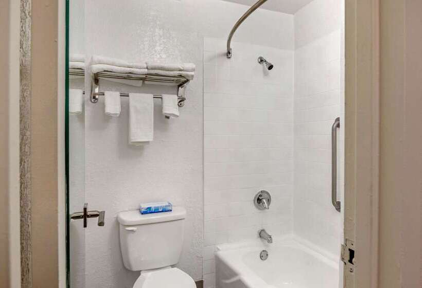 ホテル Quality Inn & Suites