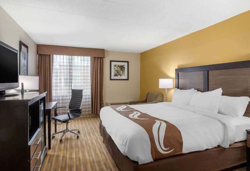 ホテル Quality Inn & Suites