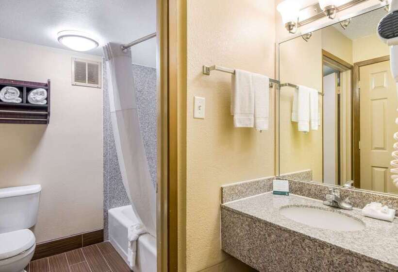 ホテル Quality Inn