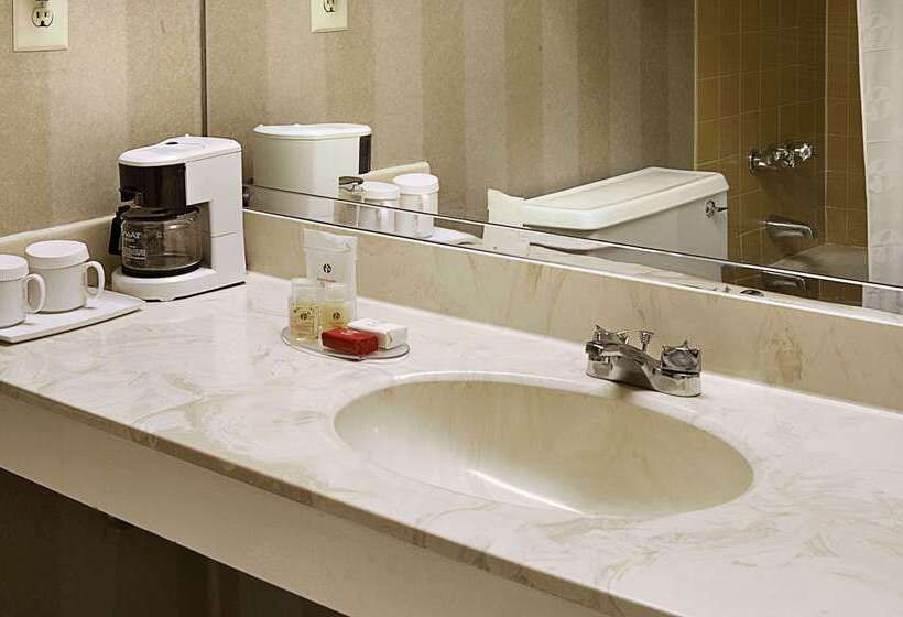 Ramada Hotel & Conf Center By Wyndham Augusta Downtown