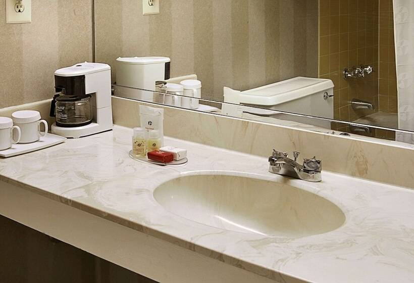 Ramada Hotel & Conf Center By Wyndham Augusta Downtown