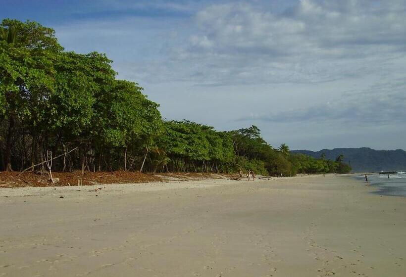 Отель Raratonga