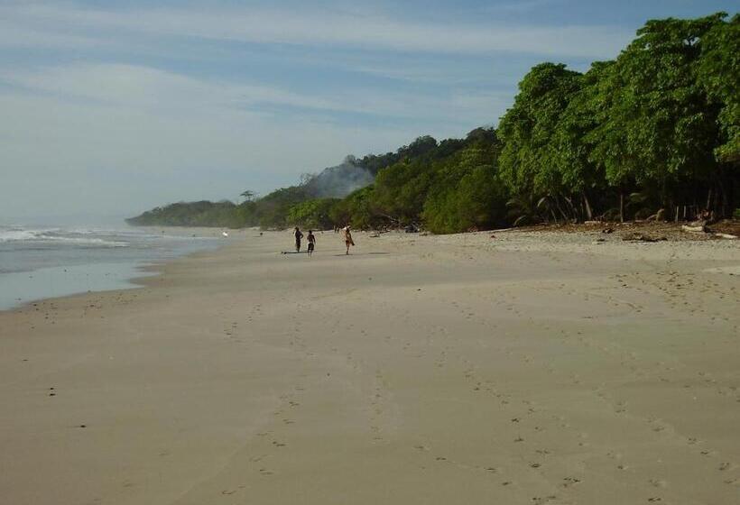 Отель Raratonga