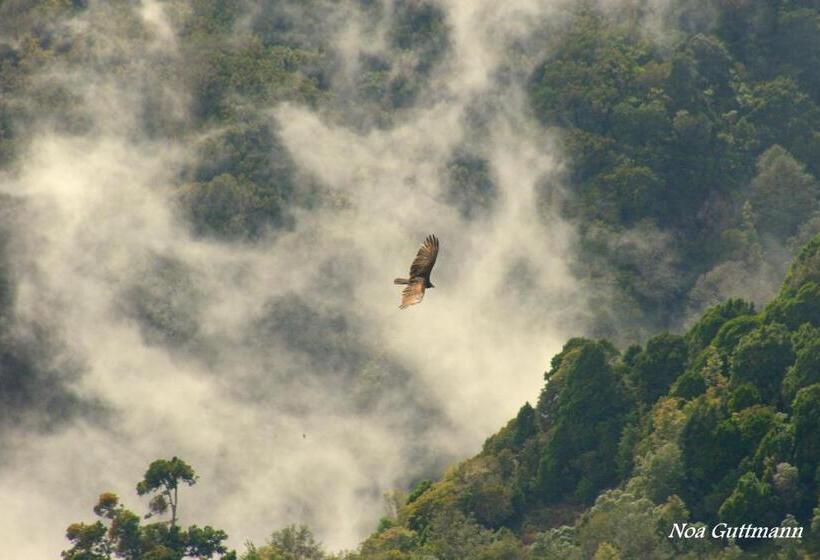 Отель Raratonga