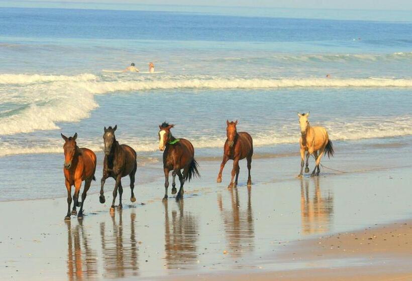 Отель Raratonga