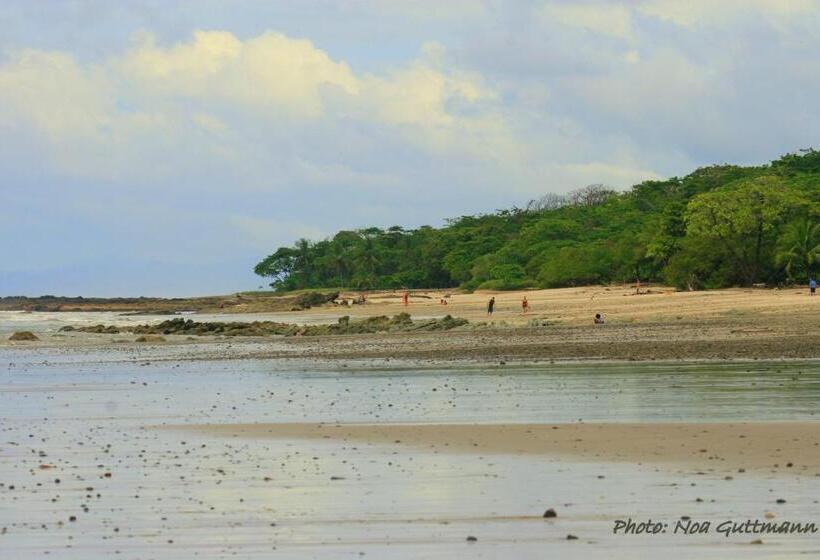 Отель Raratonga