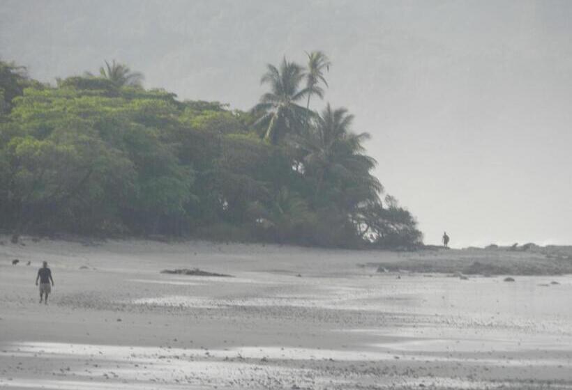 Отель Raratonga