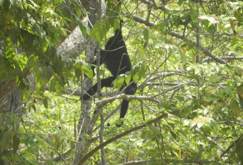 Отель Raratonga