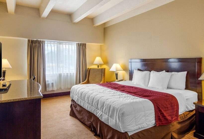 בית מלון כפרי Inn At The Highland Denver Downtown