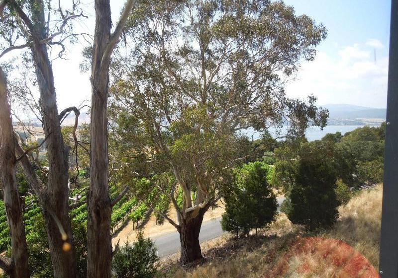 فندق Rosevears Vinyard