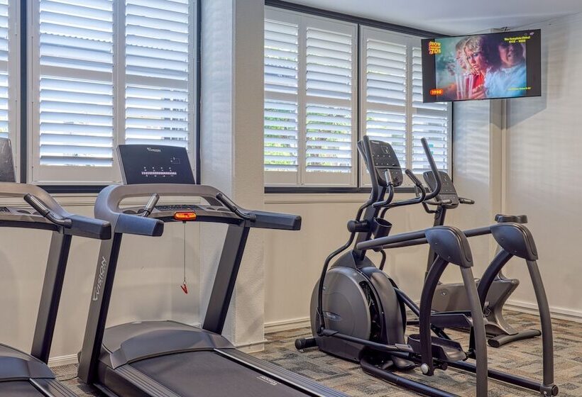 هتل The Palmer Collective