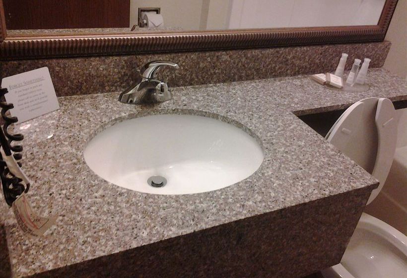 酒店 Toledo Bridgepointe Inn & Suites By Hollywood Casino, Downtown, Owens College