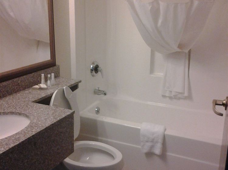 酒店 Toledo Bridgepointe Inn & Suites By Hollywood Casino, Downtown, Owens College