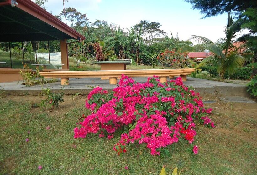 La Catalina Hotel And Suites