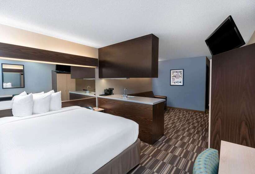 Microtel Inn & Suites Columbus North