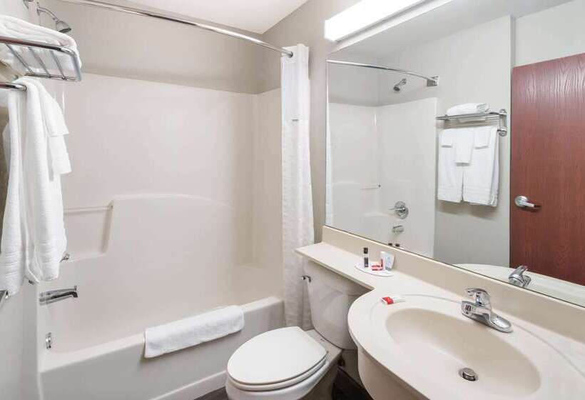 Microtel Inn & Suites Columbus North