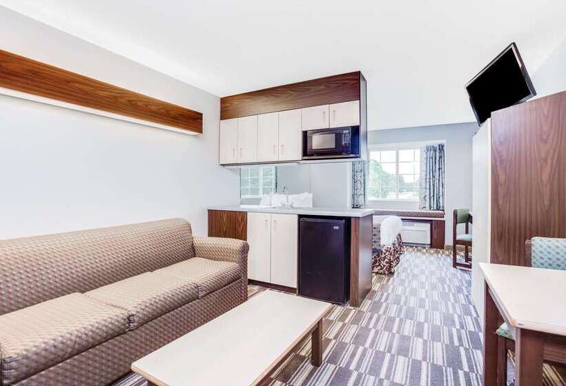 Microtel Inn & Suites Columbus North