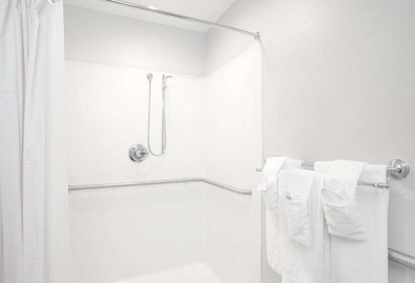 Microtel Inn & Suites By Wyndham Gardendale