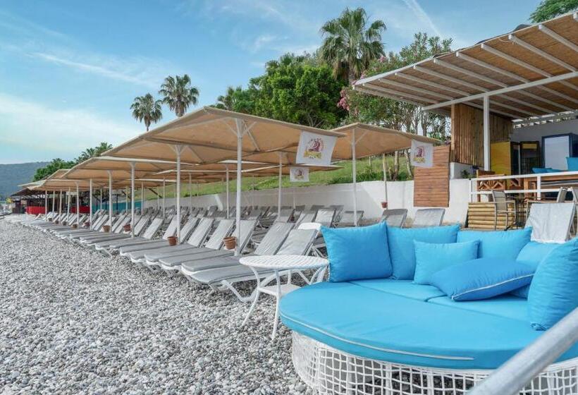 渡假胜地  Grand Viking Hotel   All Inclusive