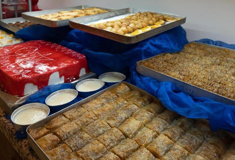 渡假胜地  Grand Viking Hotel   All Inclusive