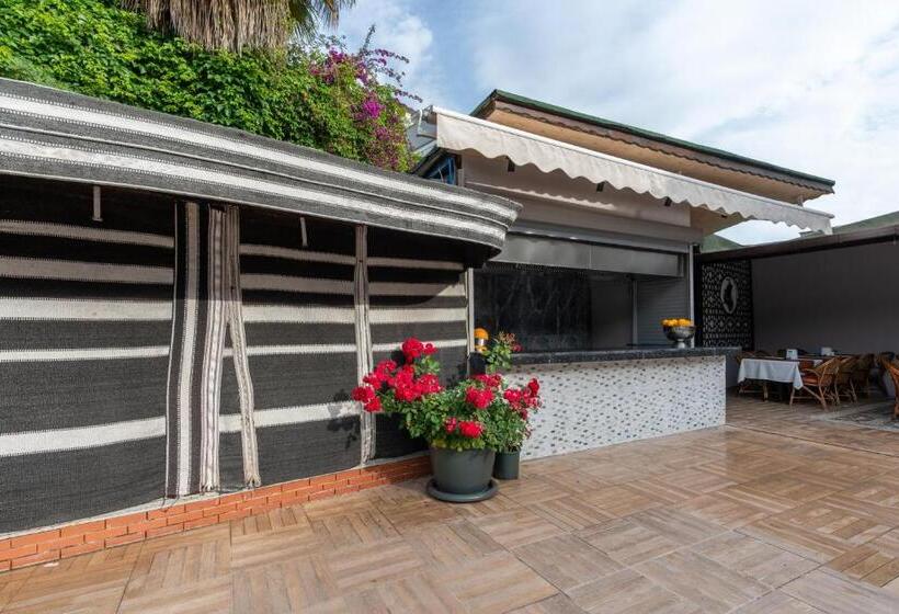 渡假胜地  Grand Viking Hotel   All Inclusive