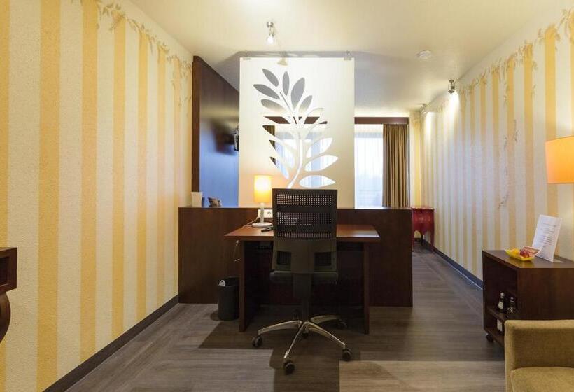 渡假胜地 Nationalpark Hotel Schliffkopf