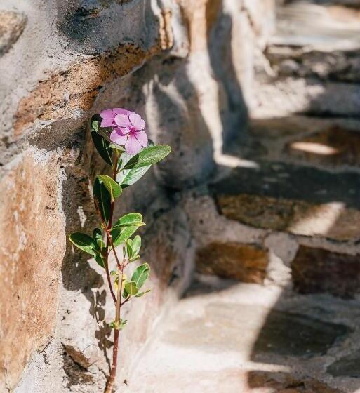 Villas La Mar   Adults 15 Plus