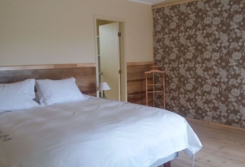 ホテル Playa Maqui Lodge