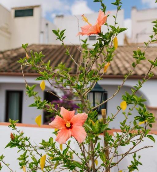 住宿加早餐  Almudawar