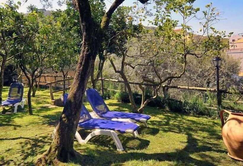 住宿加早餐  Villa Carolina Country House