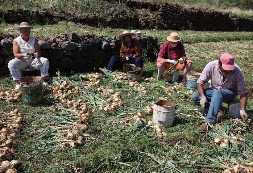 Canico Bay Apartments