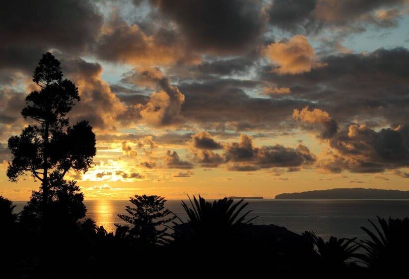 Canico Bay Apartments