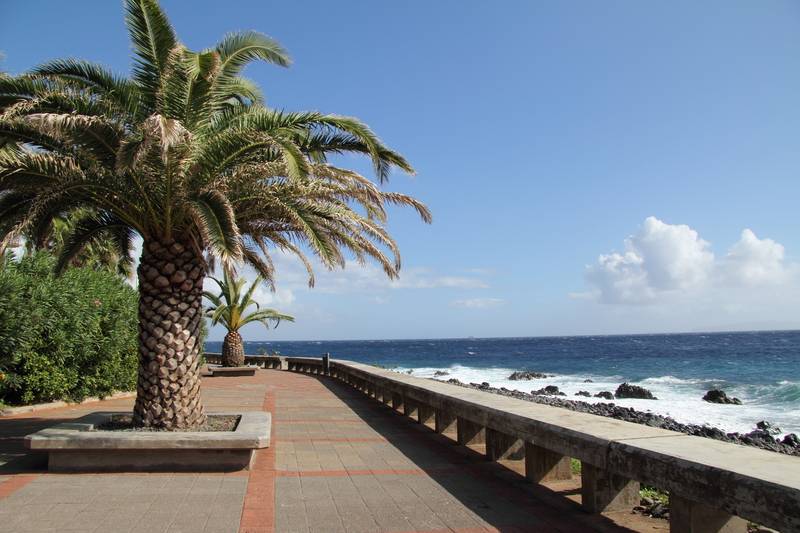 Canico Bay Apartments