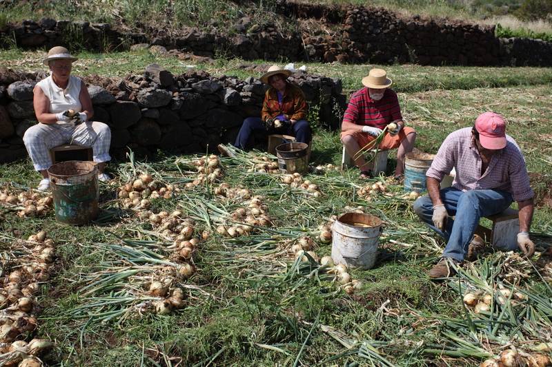 Canico Bay Apartments