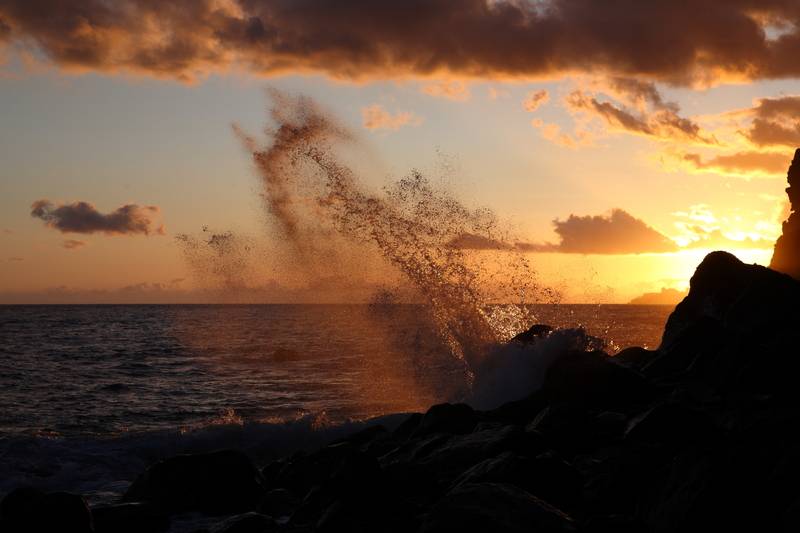 Canico Bay Apartments