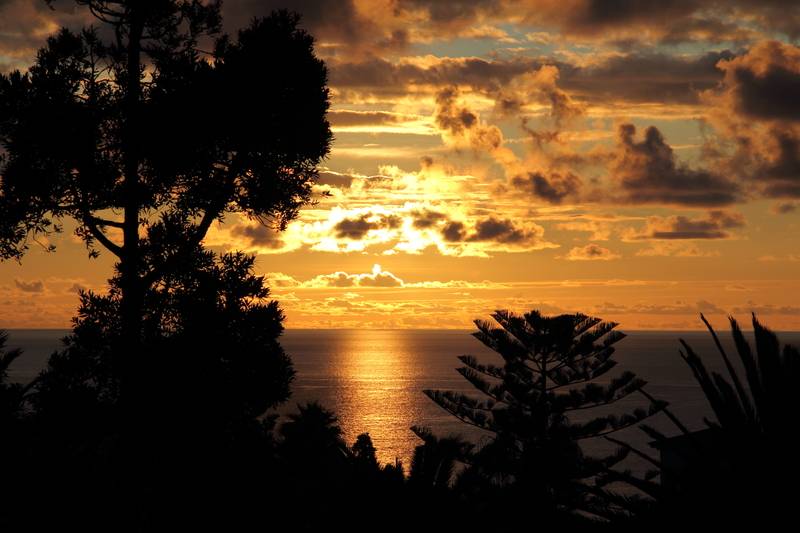 Canico Bay Apartments