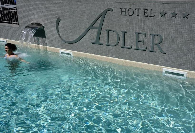 호텔 Adler