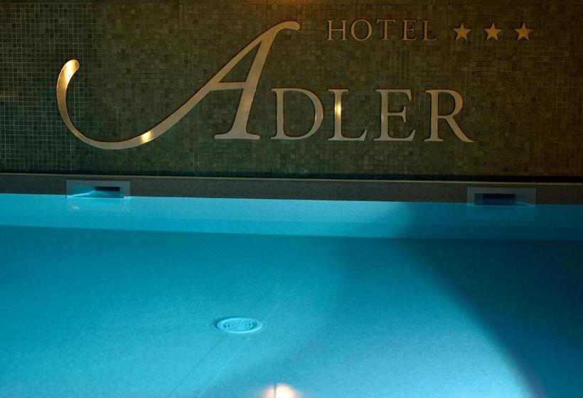 호텔 Adler