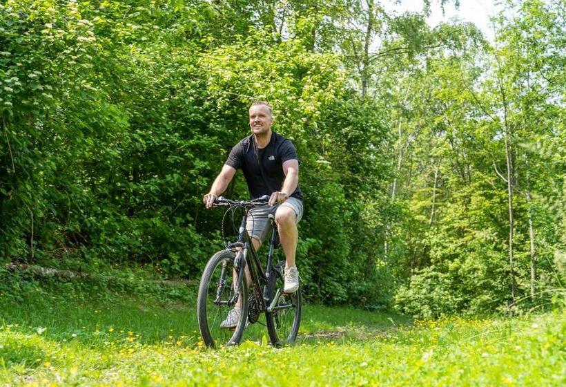 Alpine Hotel Snowworld