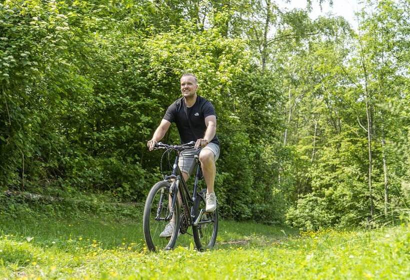 Alpine Hotel Snowworld